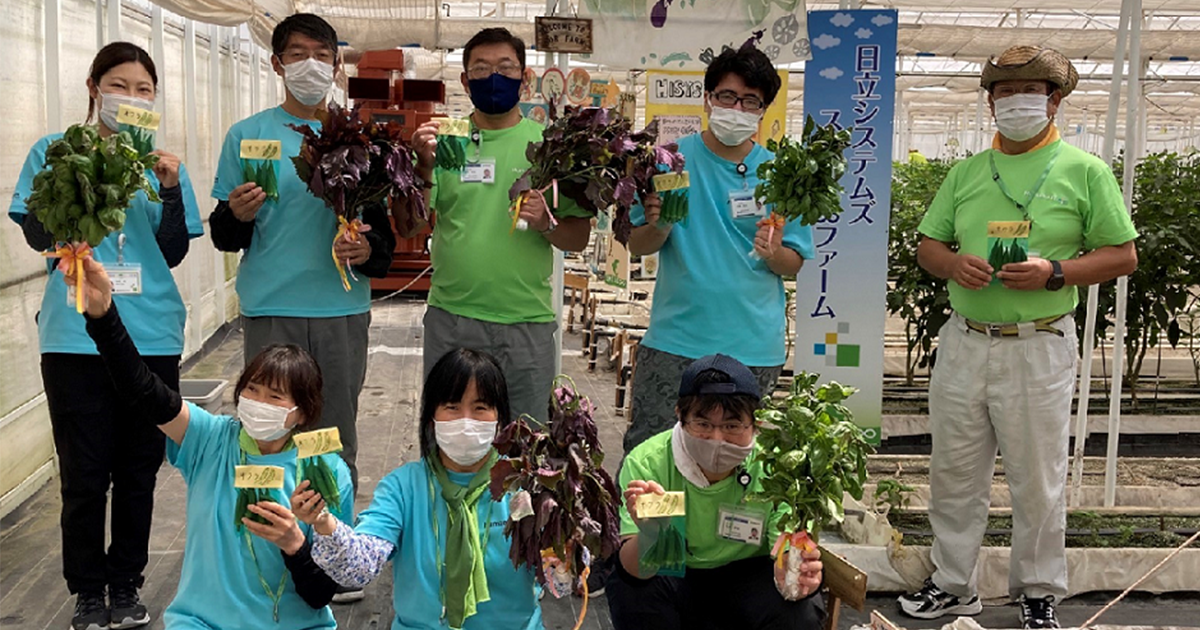 写真：