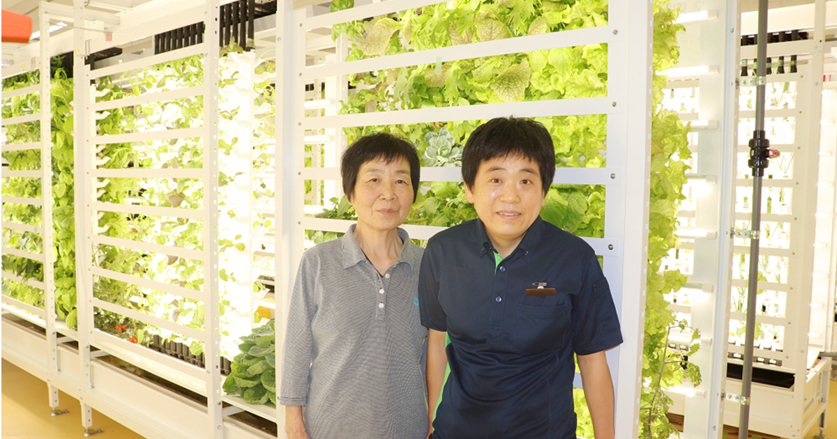 写真：