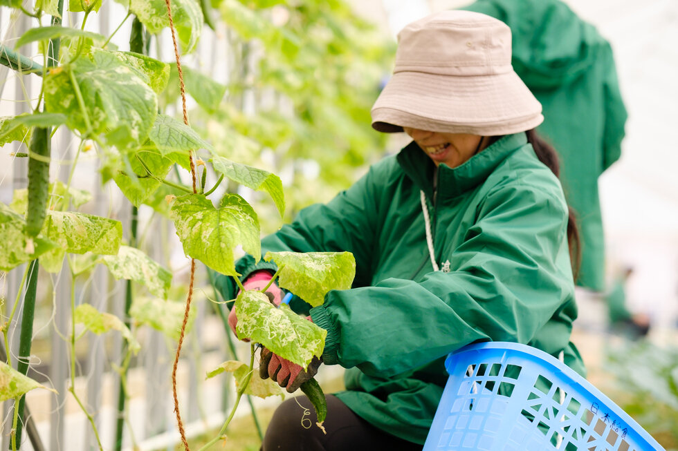 農園での作業風景
