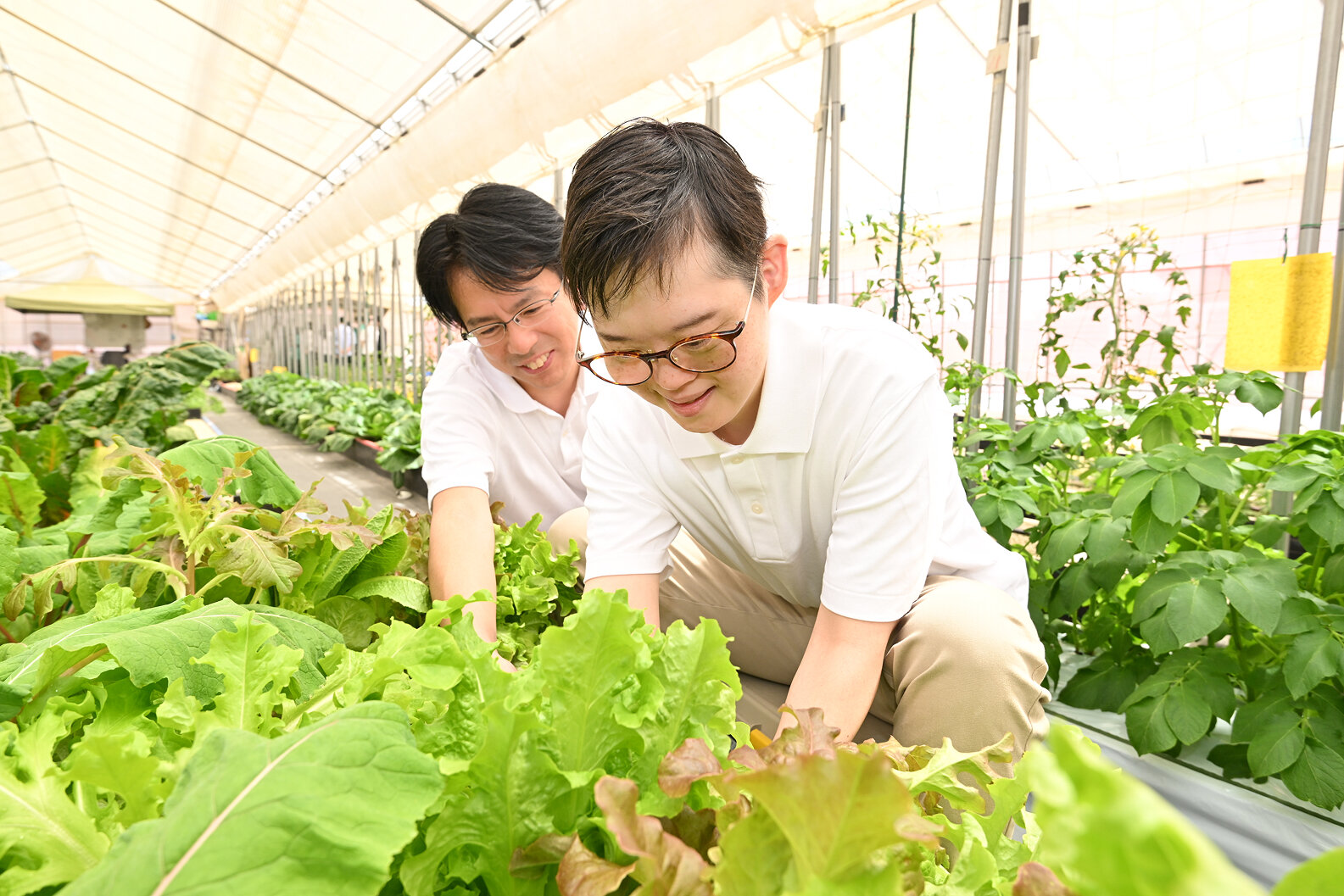 重度障がい者でも働ける業務設計