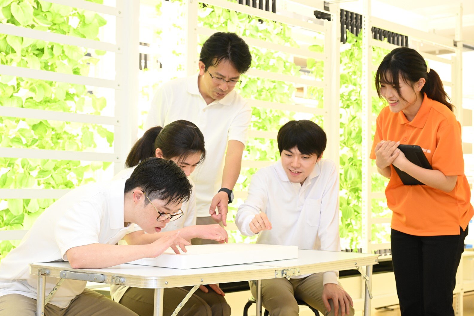 採用や雇用継続のサポート