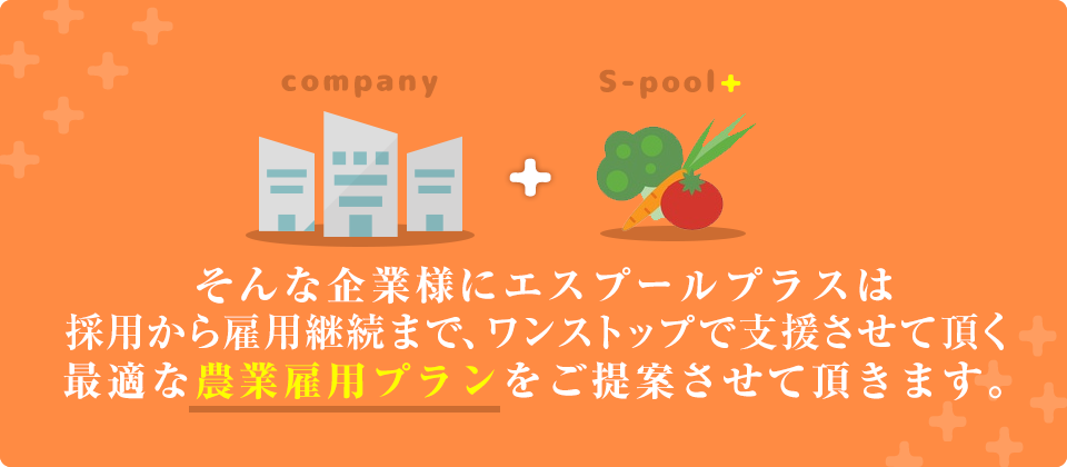 そんな企業様にエスプールプラスは最適な農業雇用プランをご提案させて頂きます。