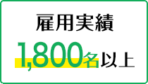 雇用実績300名以上