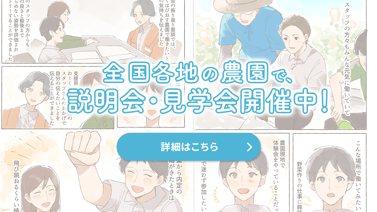 求人サイトバナー(SP)