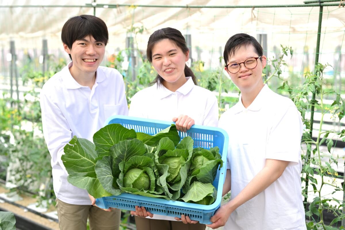 02.仕事をお探しの方へ のイメージ